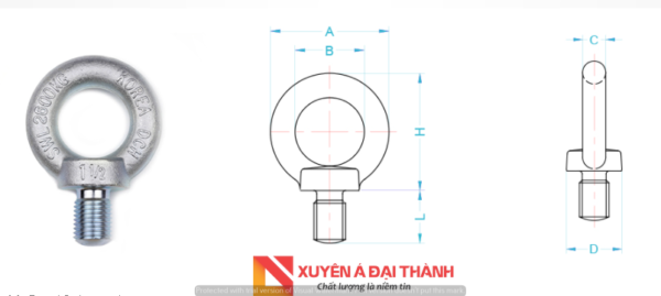 cau-tao-tai-cau-EBIN