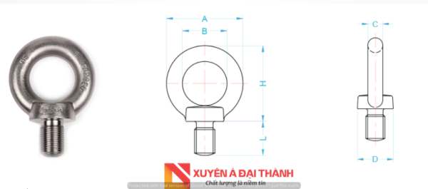 cau-tao-tai-cau-EBSI