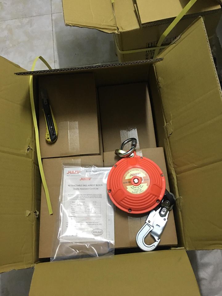 Hình Ảnh Thực Tế Cuộc Dây Haru 2