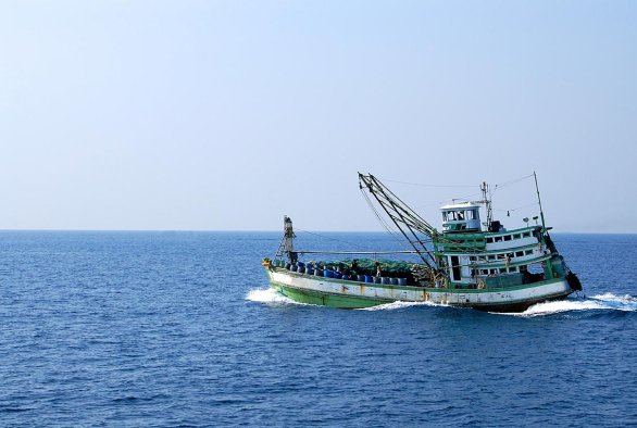 lưới r&agrave; c&aacute; 2